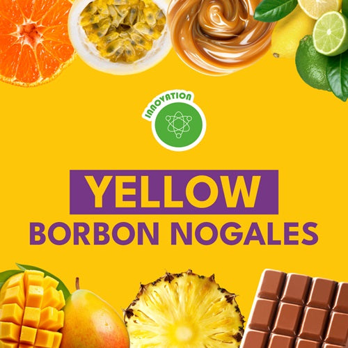 YELLOW BORBON NOGALES