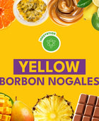 YELLOW BORBON NOGALES