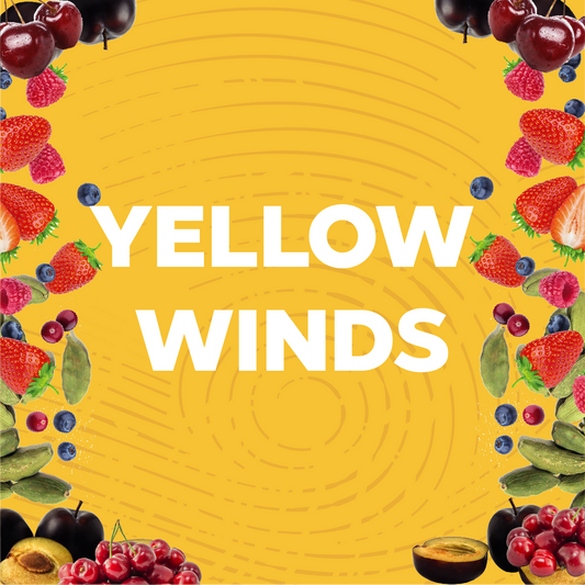 YELLOW WINDS
