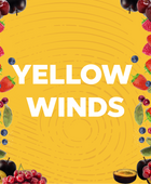 YELLOW WINDS