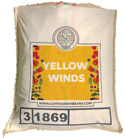 YELLOW WINDS