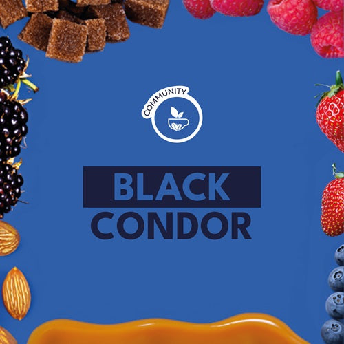 BLACK CONDOR