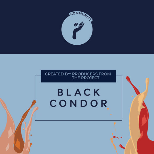 BLACK CONDOR
