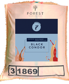 BLACK CONDOR