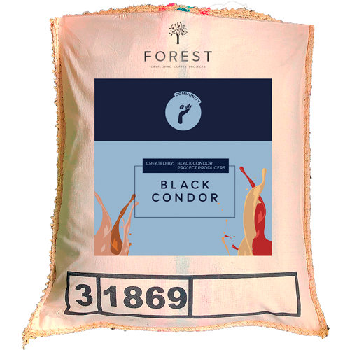 BLACK CONDOR