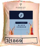 BLACK CONDOR