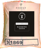 BLOOMING GESHA