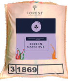 BORBON MARTA RUBI