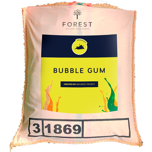 BUBBLE GUM