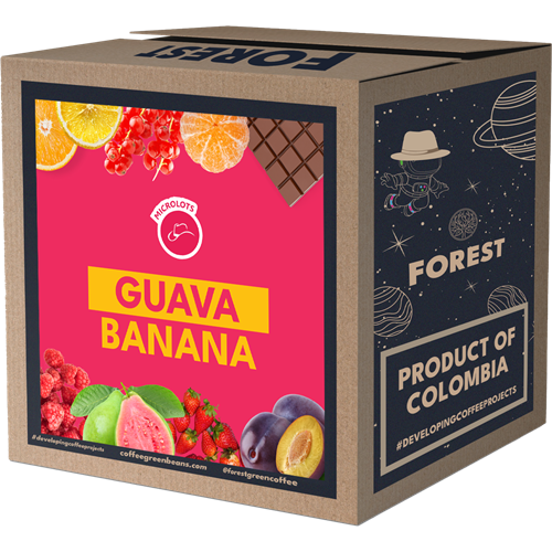 GUAVA BANANA