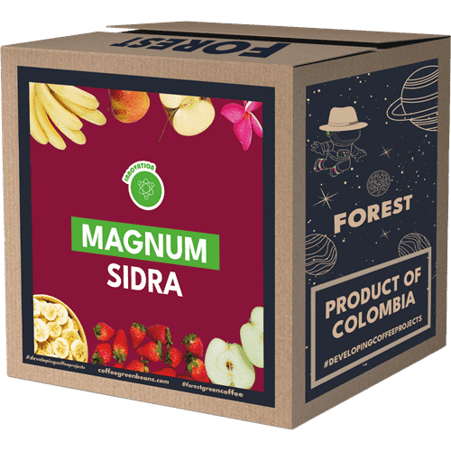 MAGNUM SIDRA