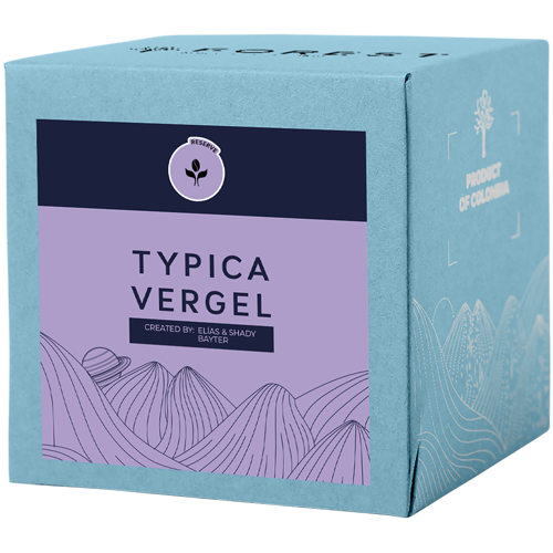 TYPICA VERGEL