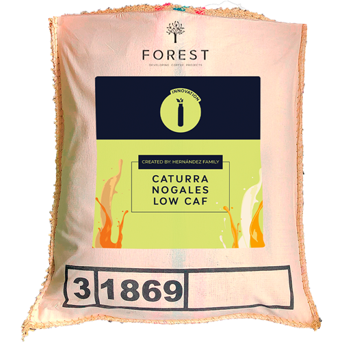 CATURRA NOGALES LOW CAF
