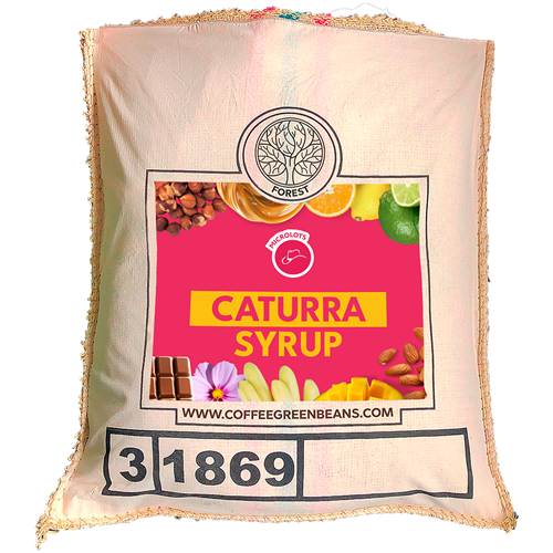 CATURRA SYRUP