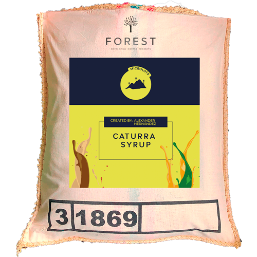 Caturra Syrup: Washed Colombian Green Coffee - Forest Coffee