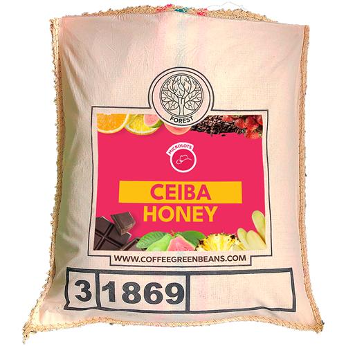 CEIBA HONEY