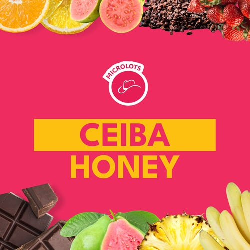 CEIBA HONEY