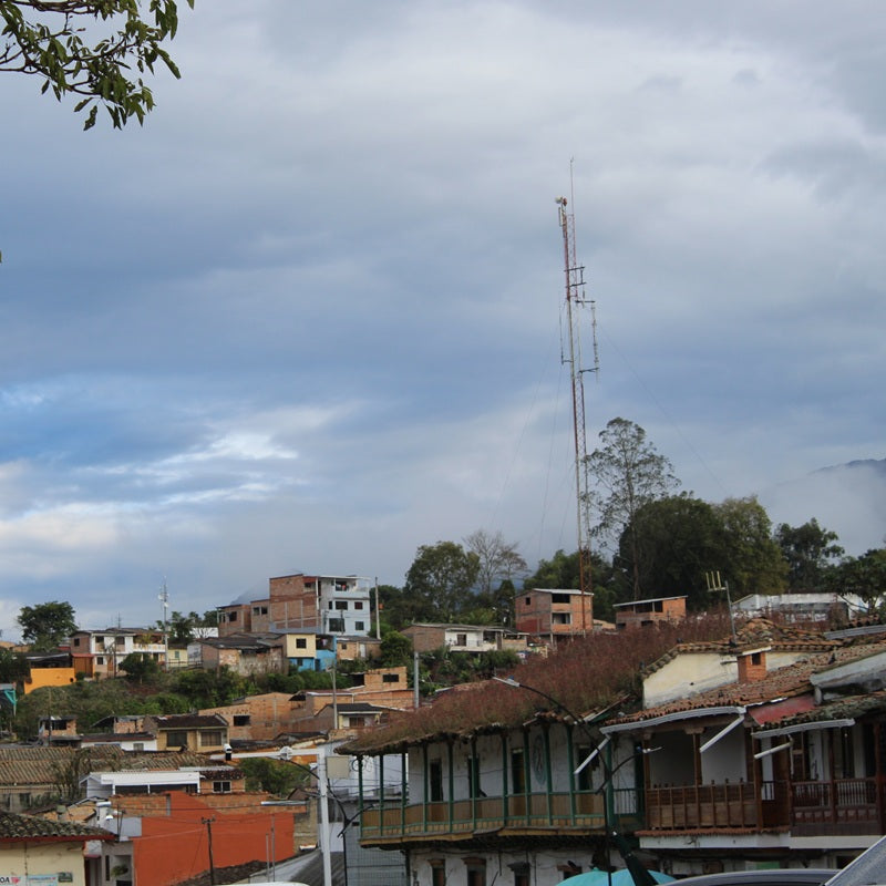 CHIROSO CARMEN MONTOYA