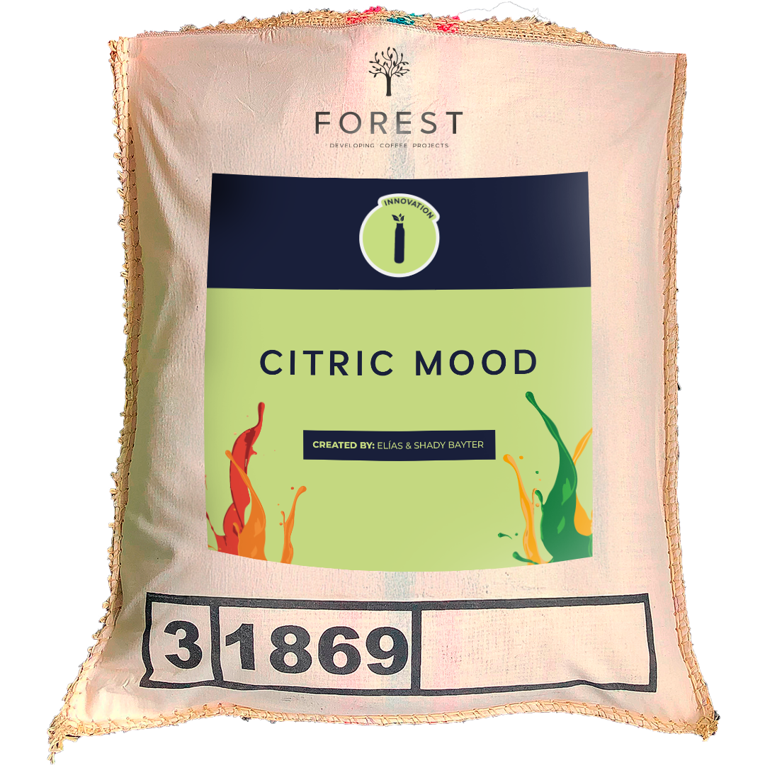 CITRIC MOOD