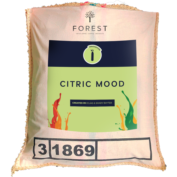 CITRIC MOOD