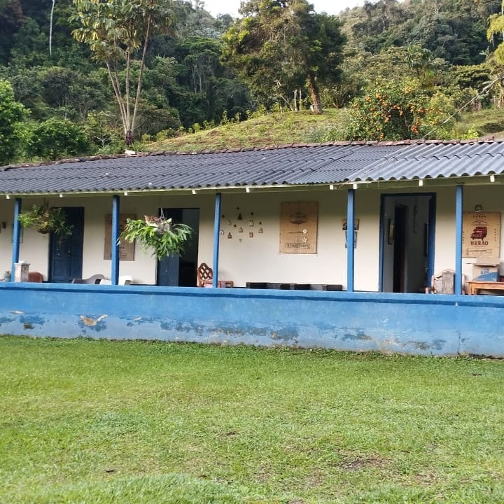 CHIROSO - HÉCTOR LÓPEZ