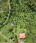 NATURAL GUAMO