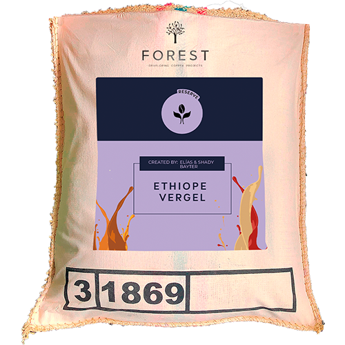 ETHIOPE VERGEL - Forest Coffee