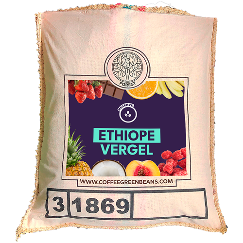 ETHIOPE VERGEL