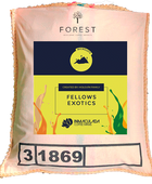 FELLOWS EXOTICS