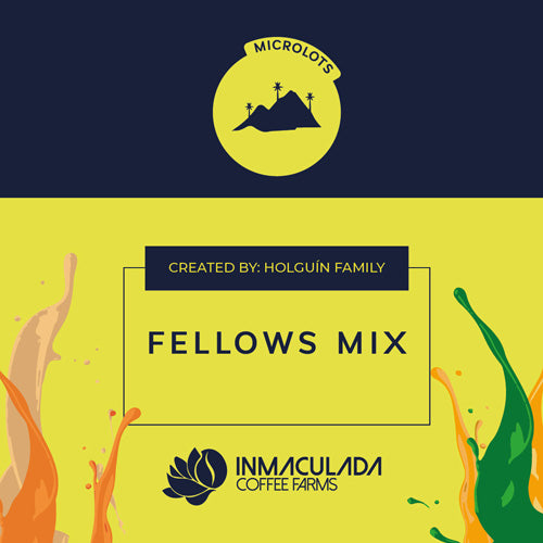 FELLOWS MIX