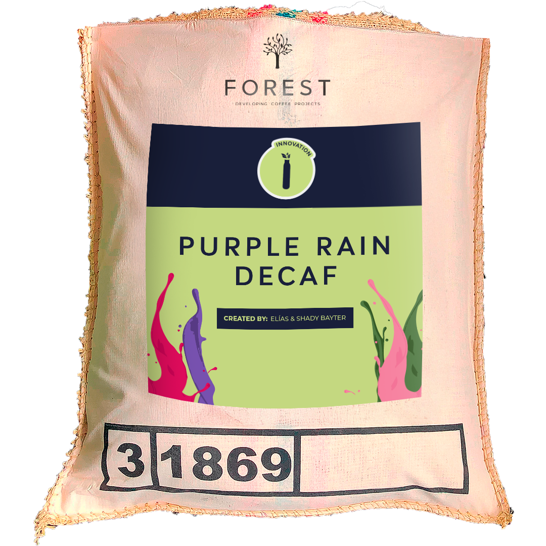 PURPLE RAIN DECAF