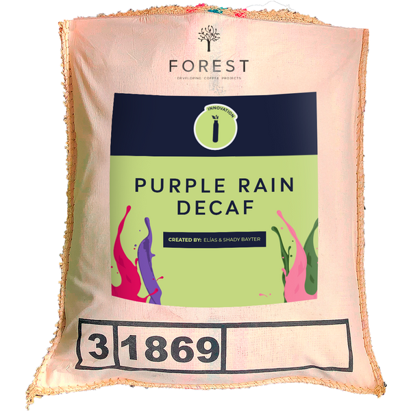 PURPLE RAIN DECAF