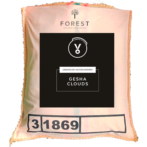 GESHA CLOUDS