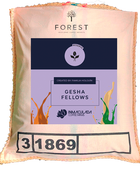GESHA FELLOWS