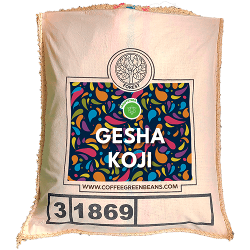 GESHA KOJI