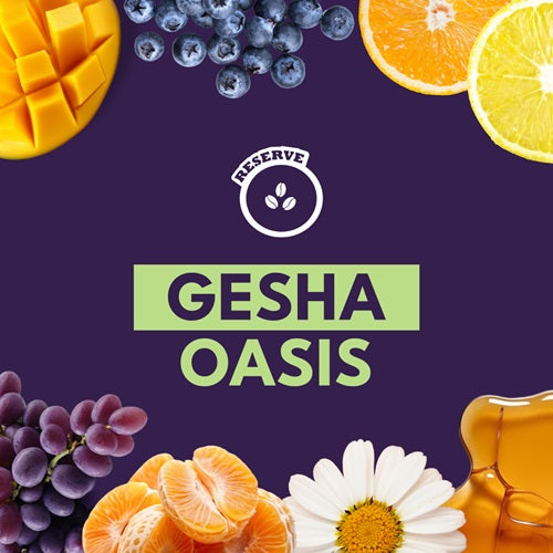 GESHA OASIS