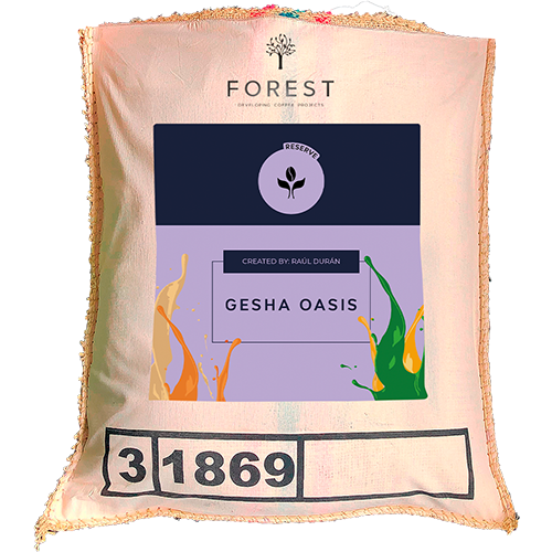 GESHA OASIS