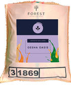 GESHA OASIS