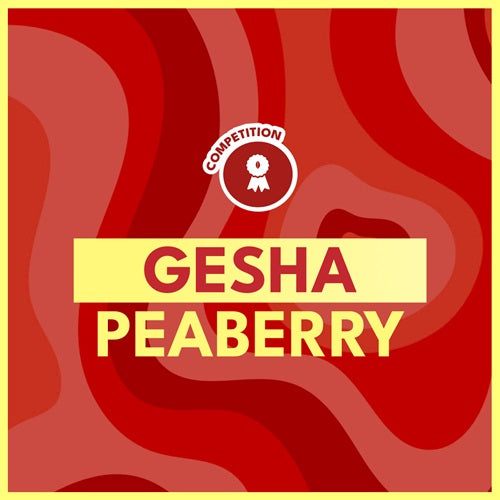 GESHA PEABERRY