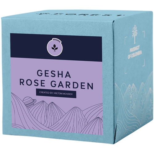 GESHA ROSE GARDEN