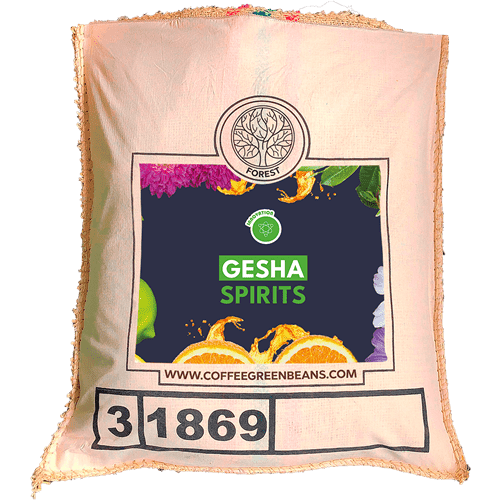 GESHA SPIRITS