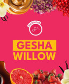 GESHA WILLOW