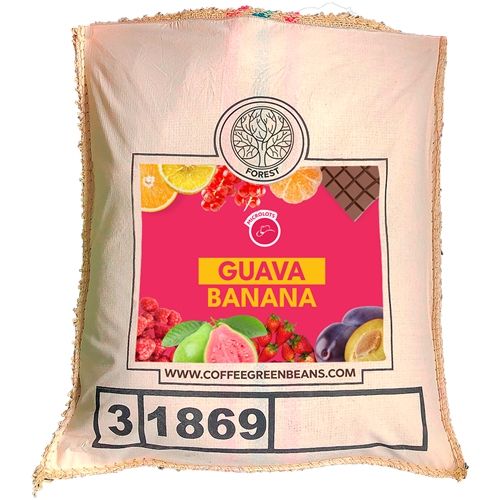 GUAVA BANANA