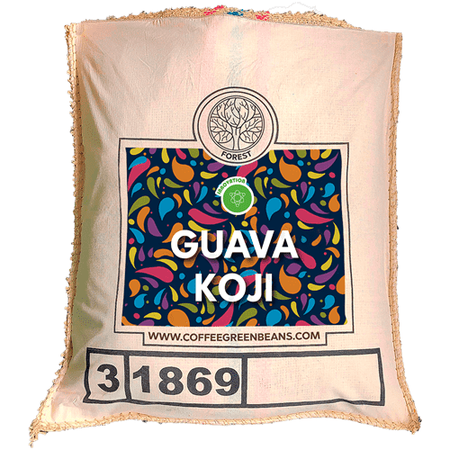 GUAVA KOJI