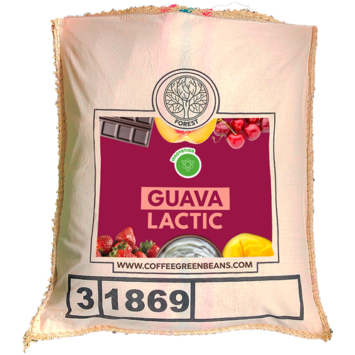 GUAVA LACTIC