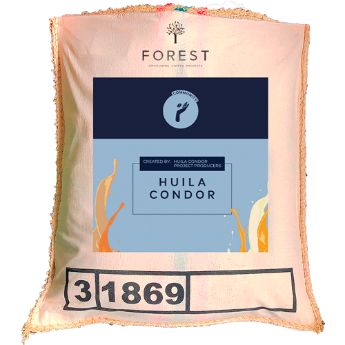 HUILA CONDOR