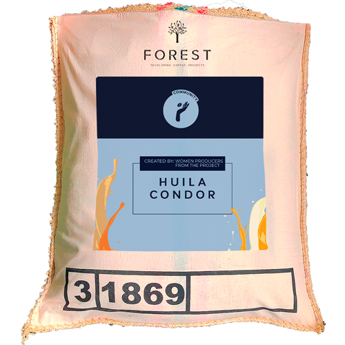 HUILA CONDOR