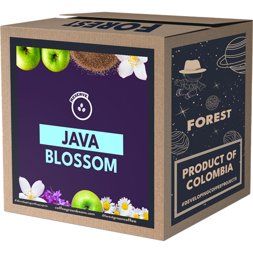 JAVA BLOSSOM