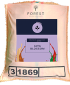 JAVA BLOSSOM