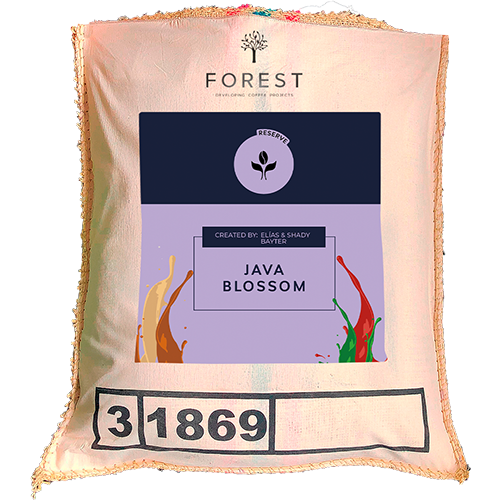 JAVA BLOSSOM